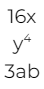 polynomial expression